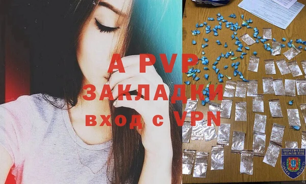 стаф Тында