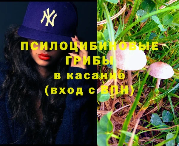 твердый Верхний Тагил